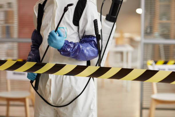 Professional Sewage Cleanup technician working in West Alton, MO