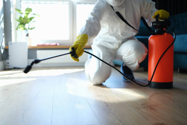 Reliable Sewage Cleanup contractor in West Alton, MO by Dulley Family Biohazard Services